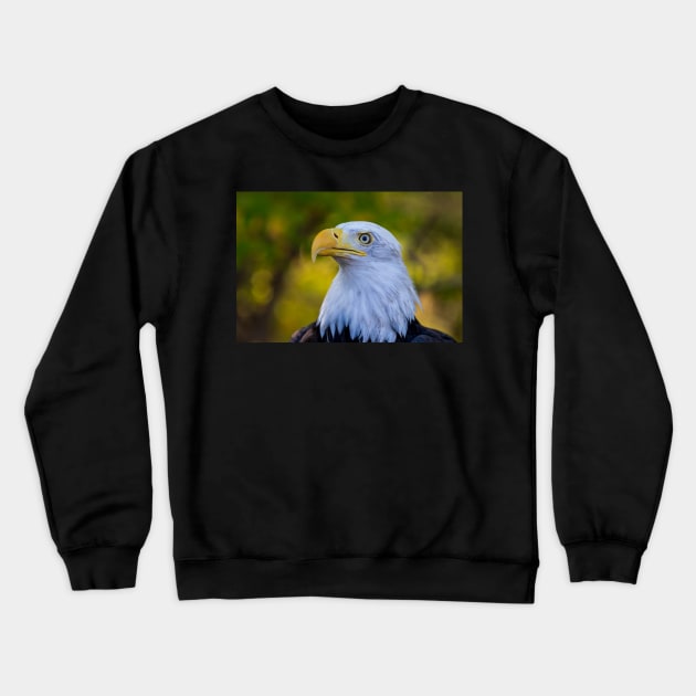 Autumn Eagle Crewneck Sweatshirt by gdb2